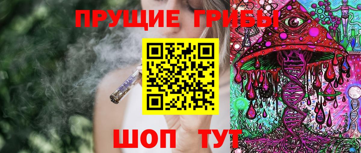 закладки  Псилоцибиновые грибы Magic Shrooms  Вход с VPN  Мичуринск 